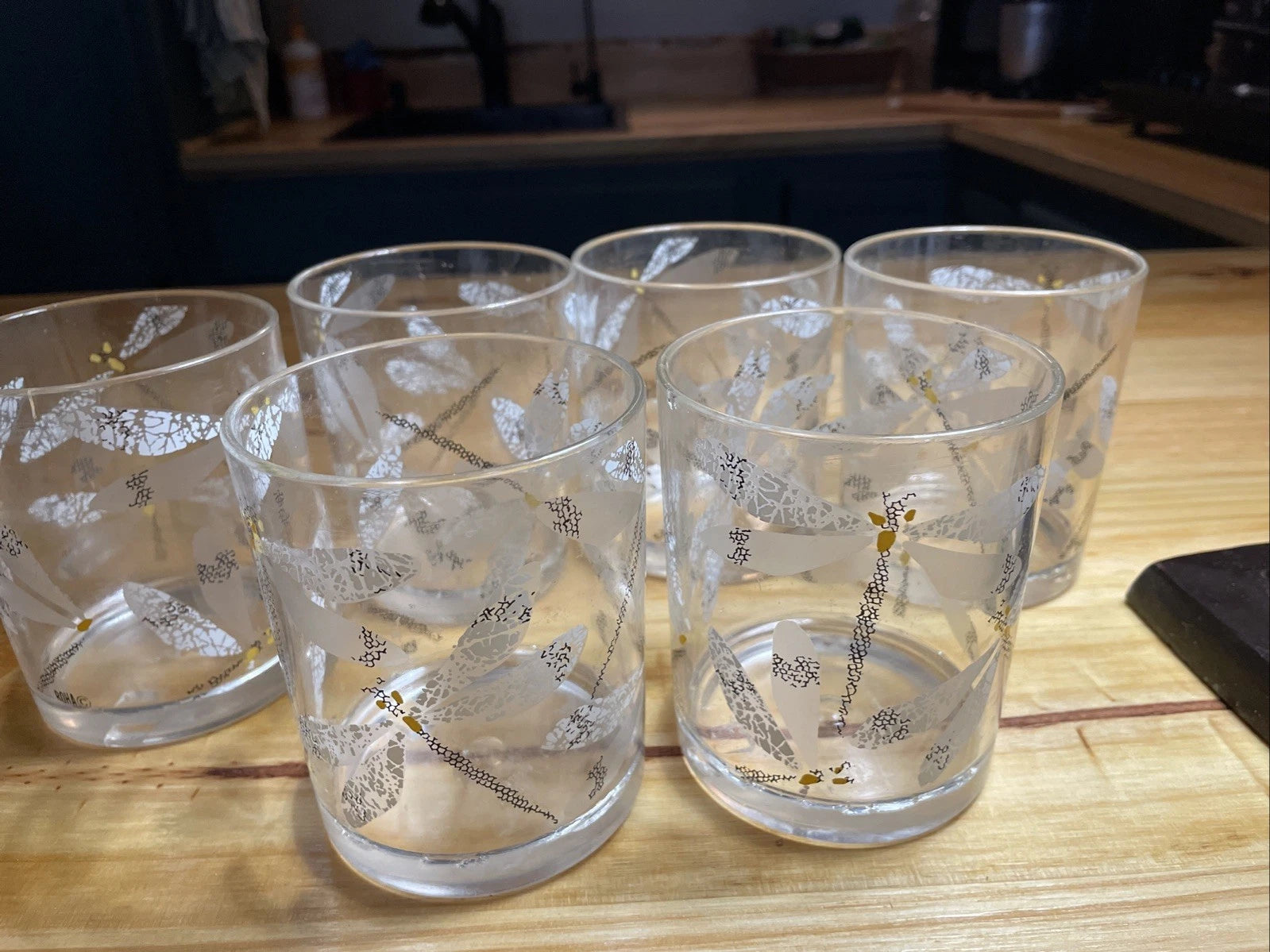 Vtg HJ Stotter Summer Dragonfly Acrylic Glasses Pool Drink Set Of 6 4x3.25” | eBay