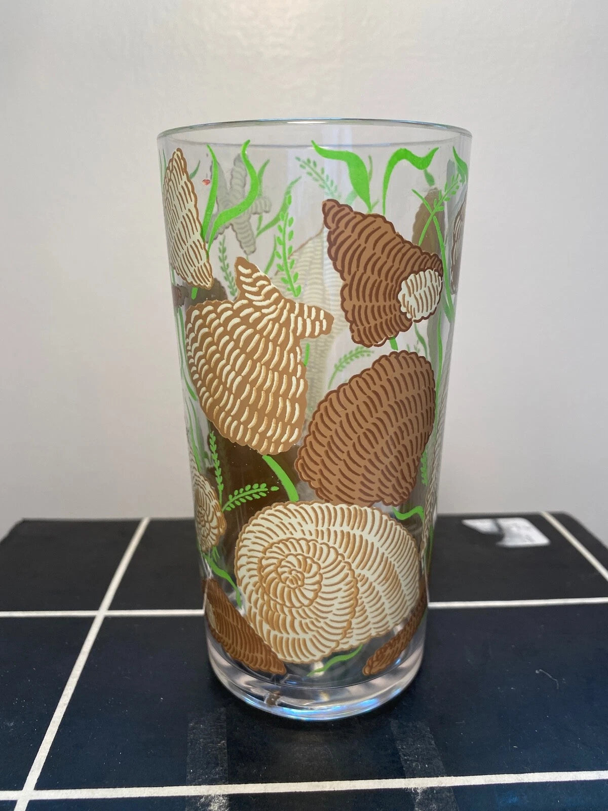 NEW IN BOX Vintage Set of 6 STOTTER Seashell Plastic Glasses High-Ball Tumblers | eBay