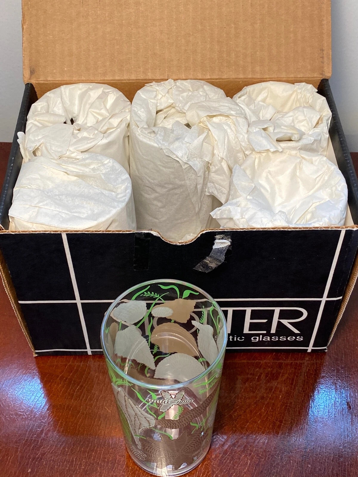 NEW IN BOX Vintage Set of 6 STOTTER Seashell Plastic Glasses High-Ball Tumblers | eBay