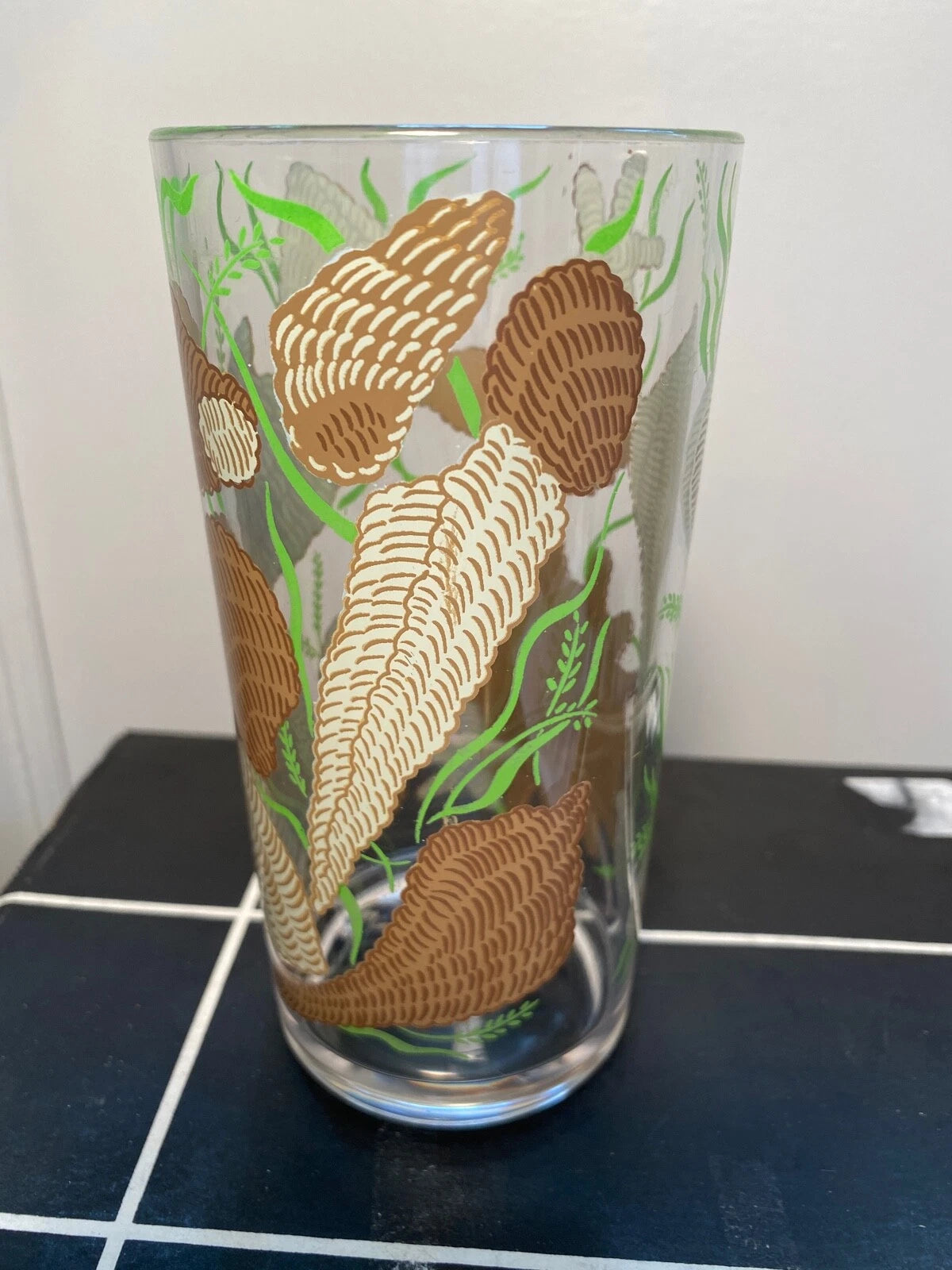 NEW IN BOX Vintage Set of 6 STOTTER Seashell Plastic Glasses High-Ball Tumblers | eBay