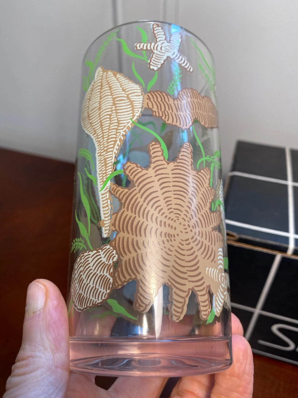 NEW IN BOX Vintage Set of 6 STOTTER Seashell Plastic Glasses High-Ball Tumblers | eBay